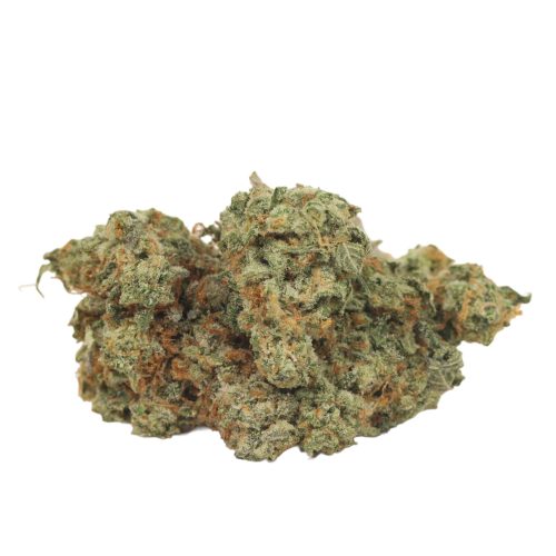 astro pink kush craft strain cannabis