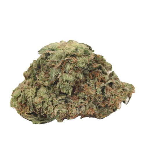 BC Pink Kush strain cannabis