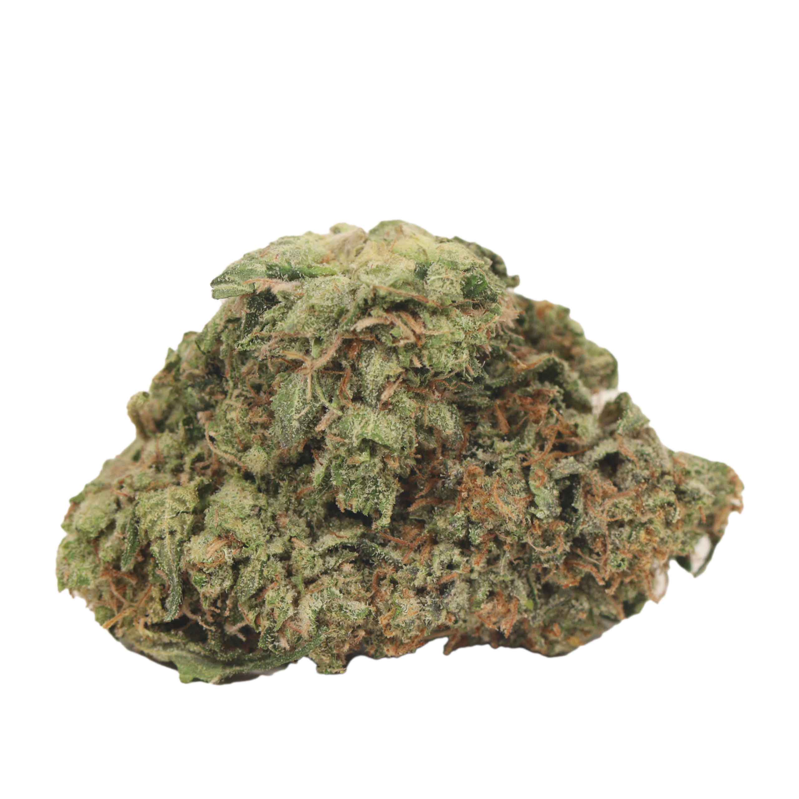 BC Pink Kush strain cannabis