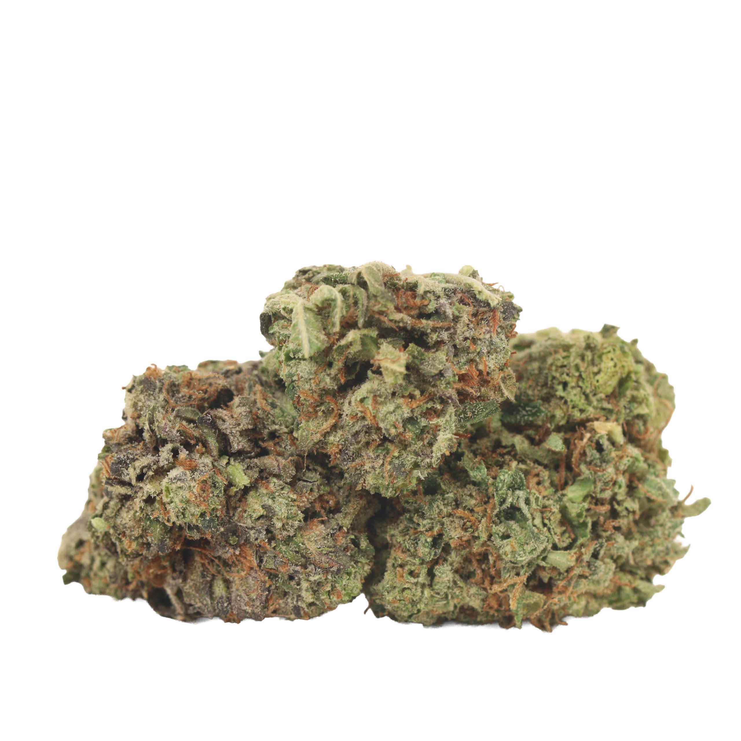 BC Pink Kush strain cannabis