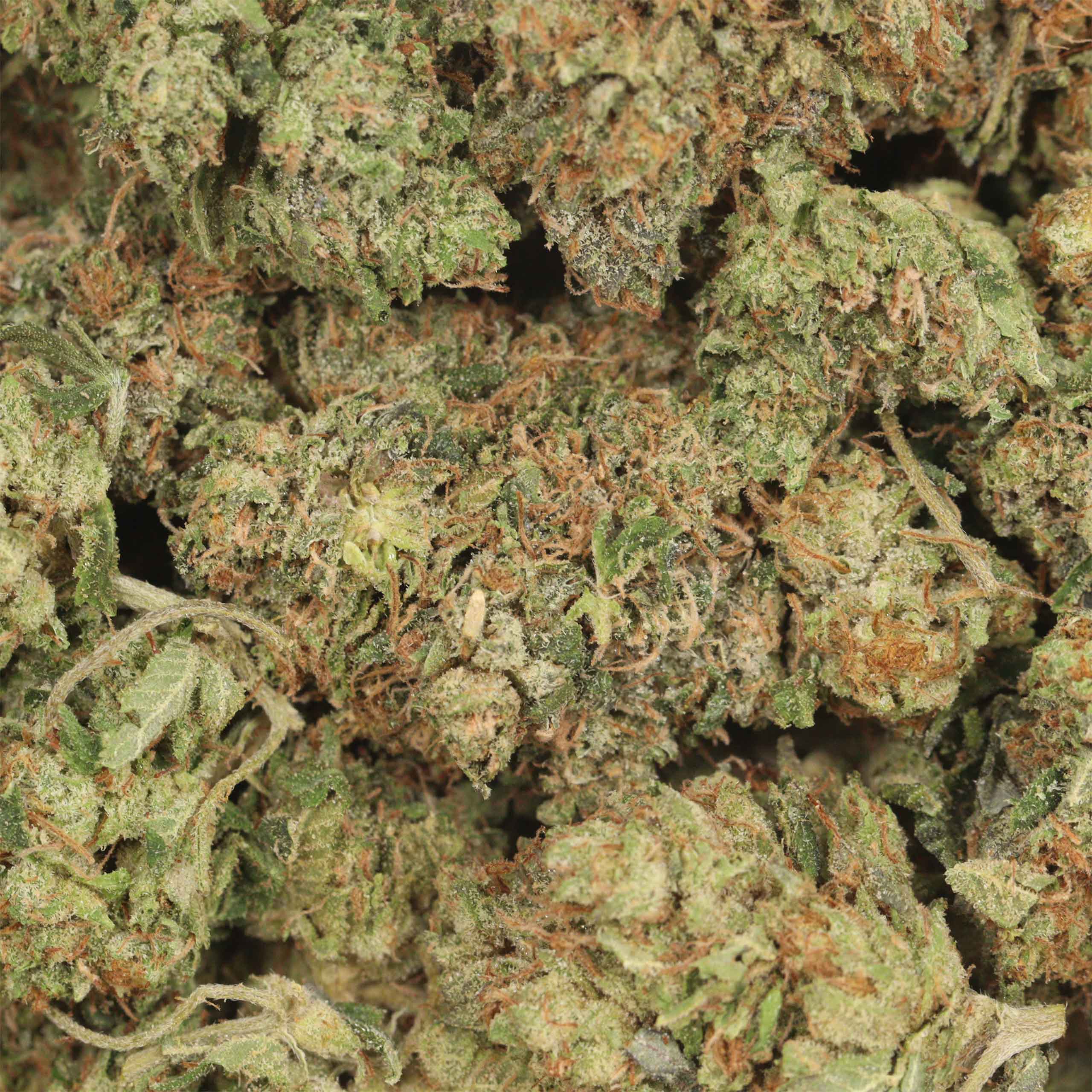 BC Pink Kush - Image 3