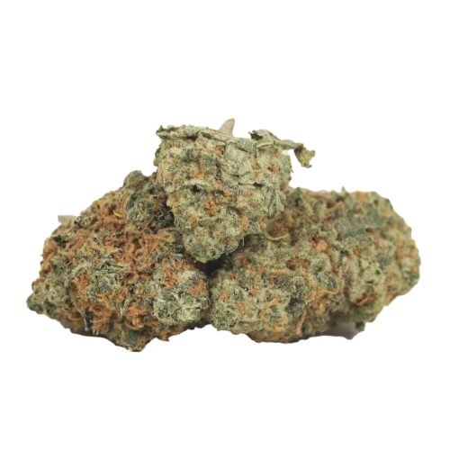 Berry White strain cannabis