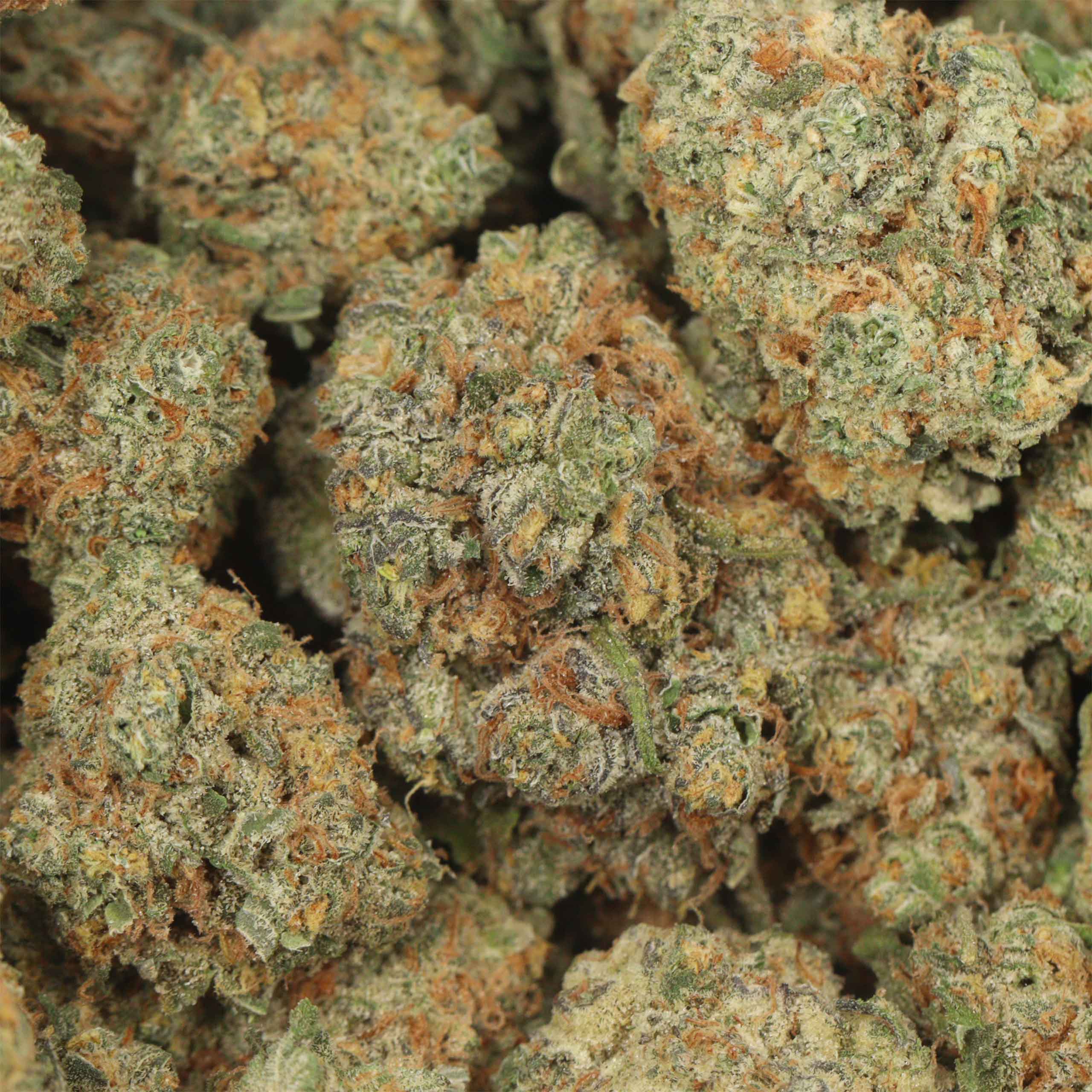 Berry White - Image 3