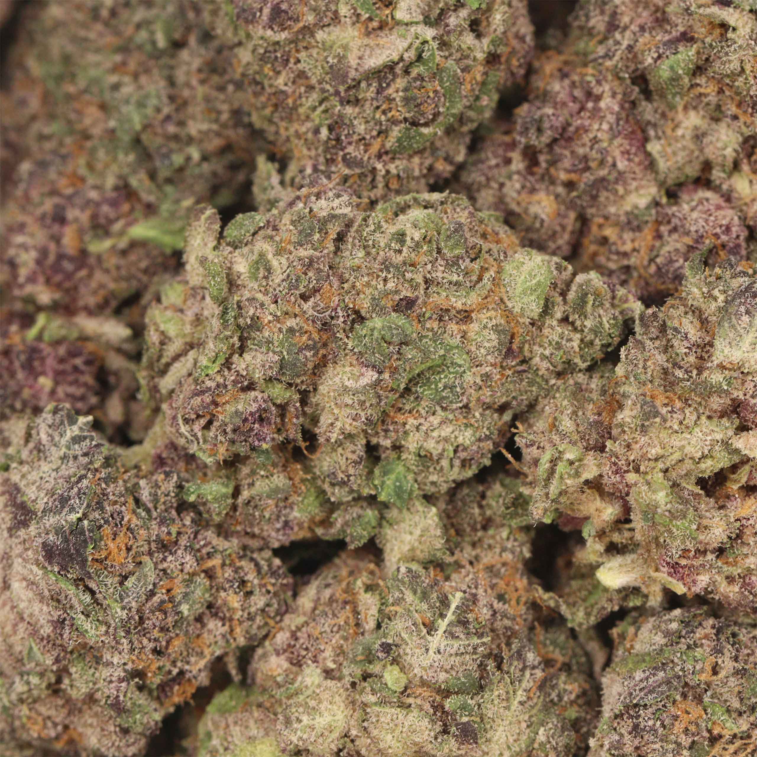 Berry White - Image 3