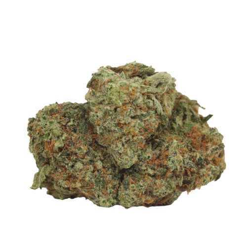Big Drip strain cannabis