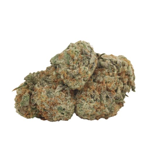 Black Cherry OG strain cannabis