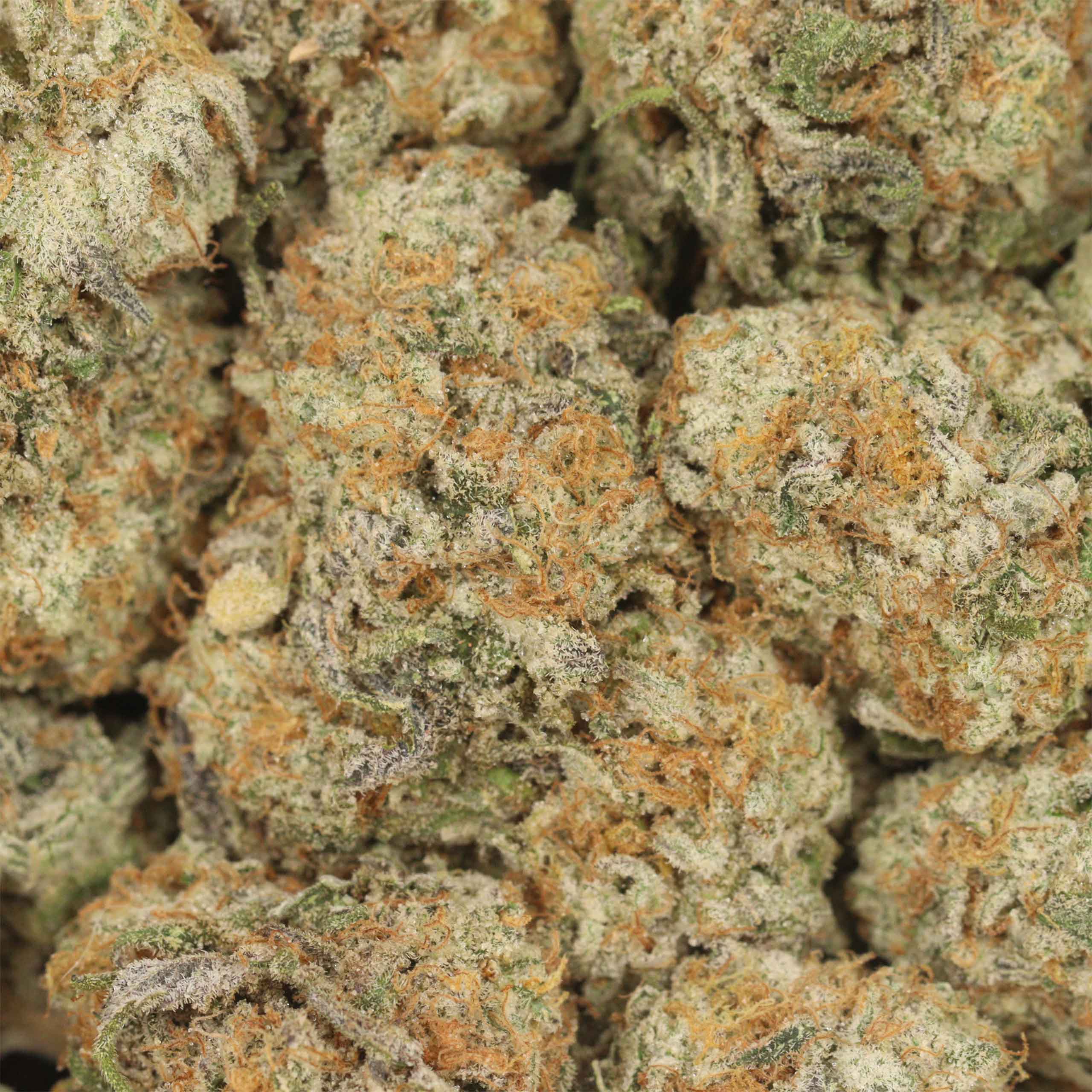 Black Cherry OG - Image 3
