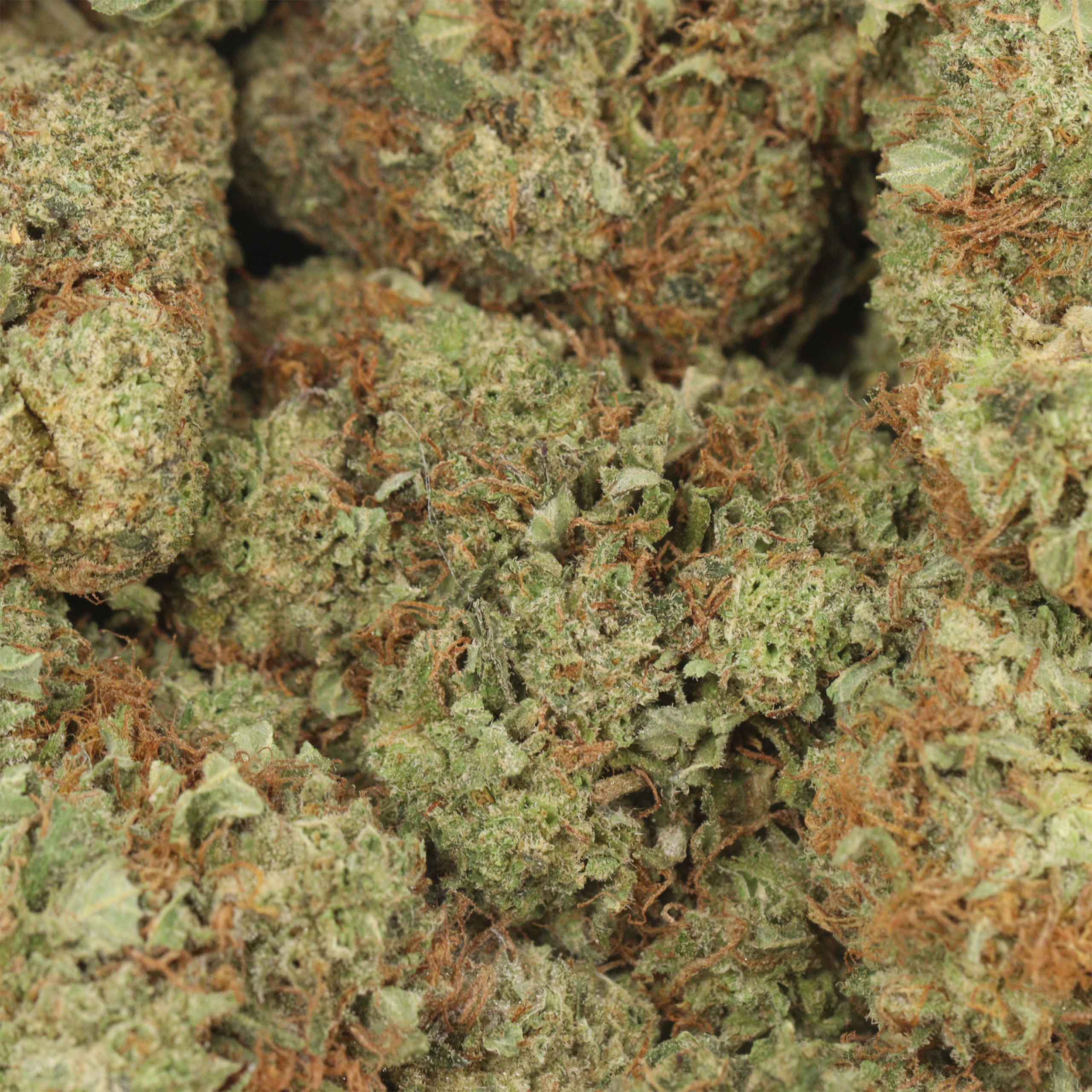 Black Diamond - Image 3