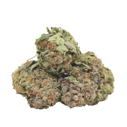 Black Fin Tuna strain cannabis
