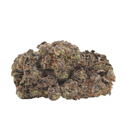 Black Kush strain cannabis
