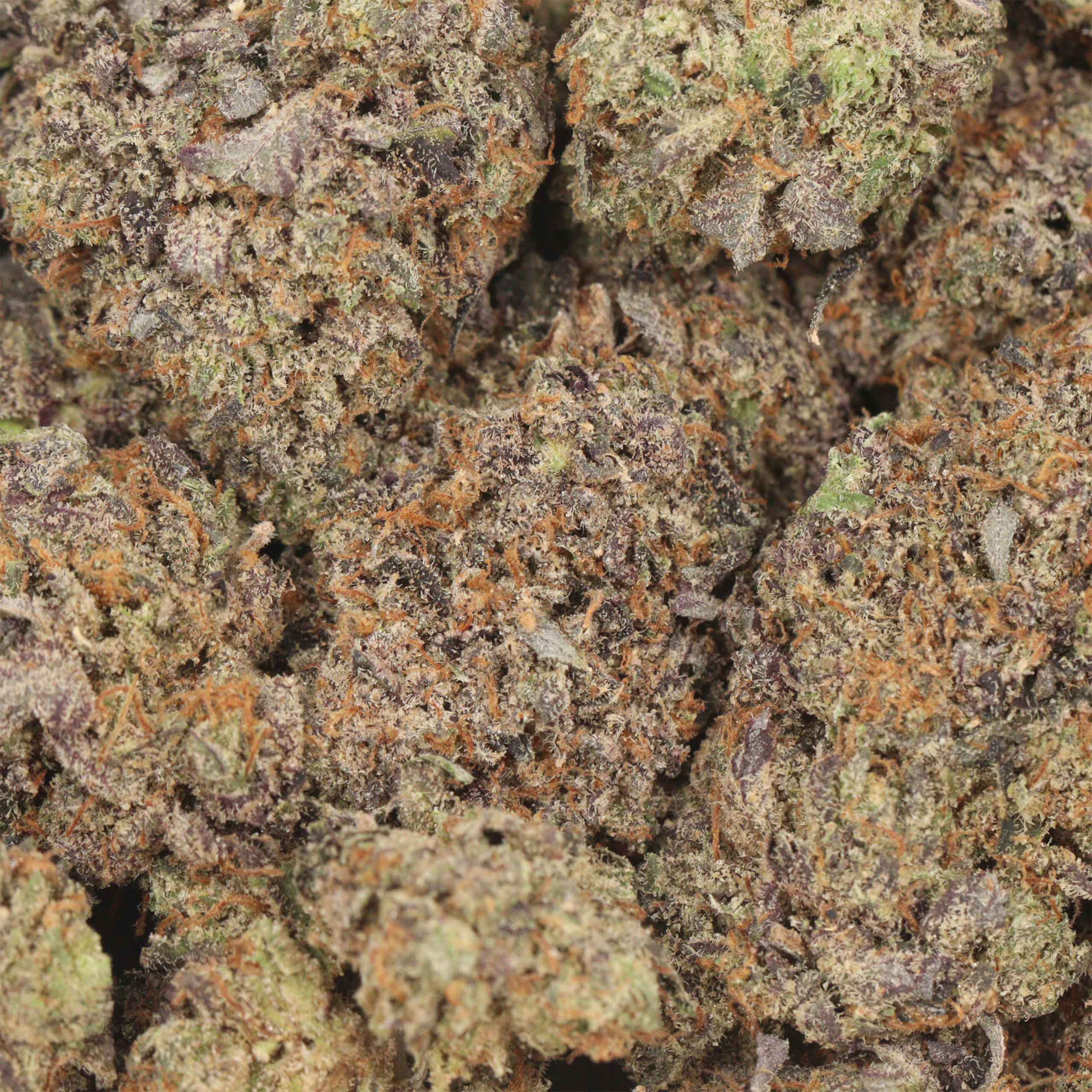 Black Kush - Image 3