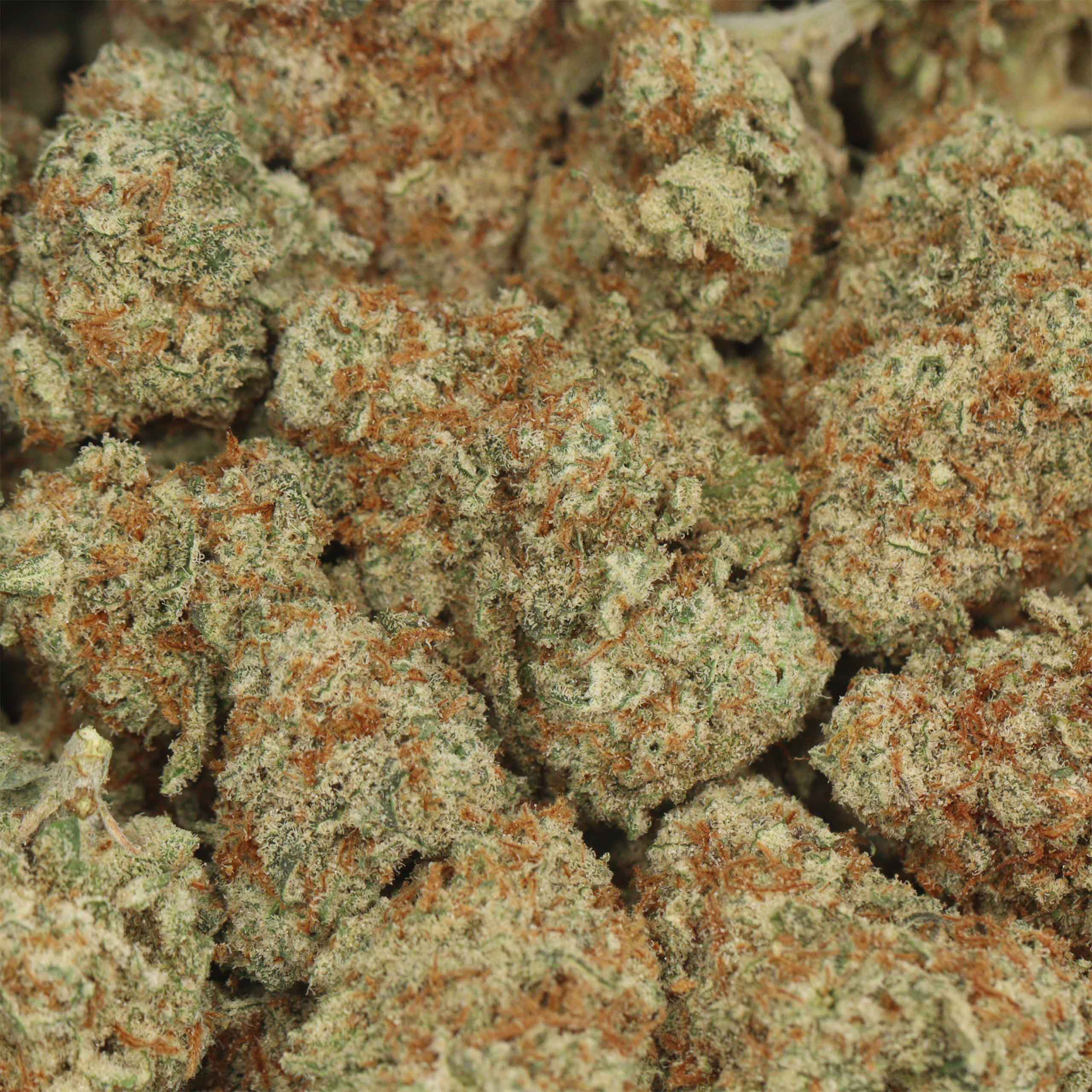 Blue Dream - Image 3