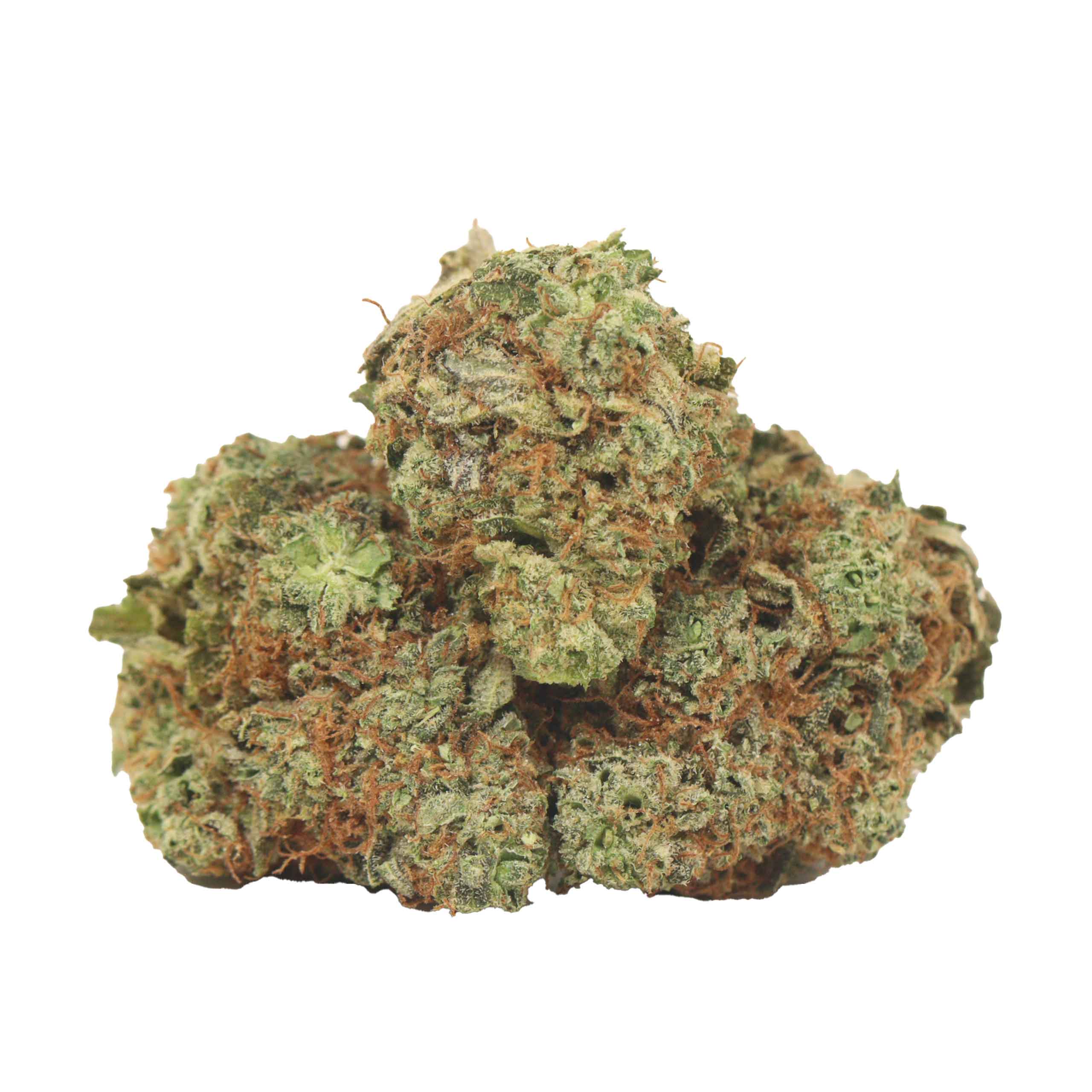 Blue King strain cannabis
