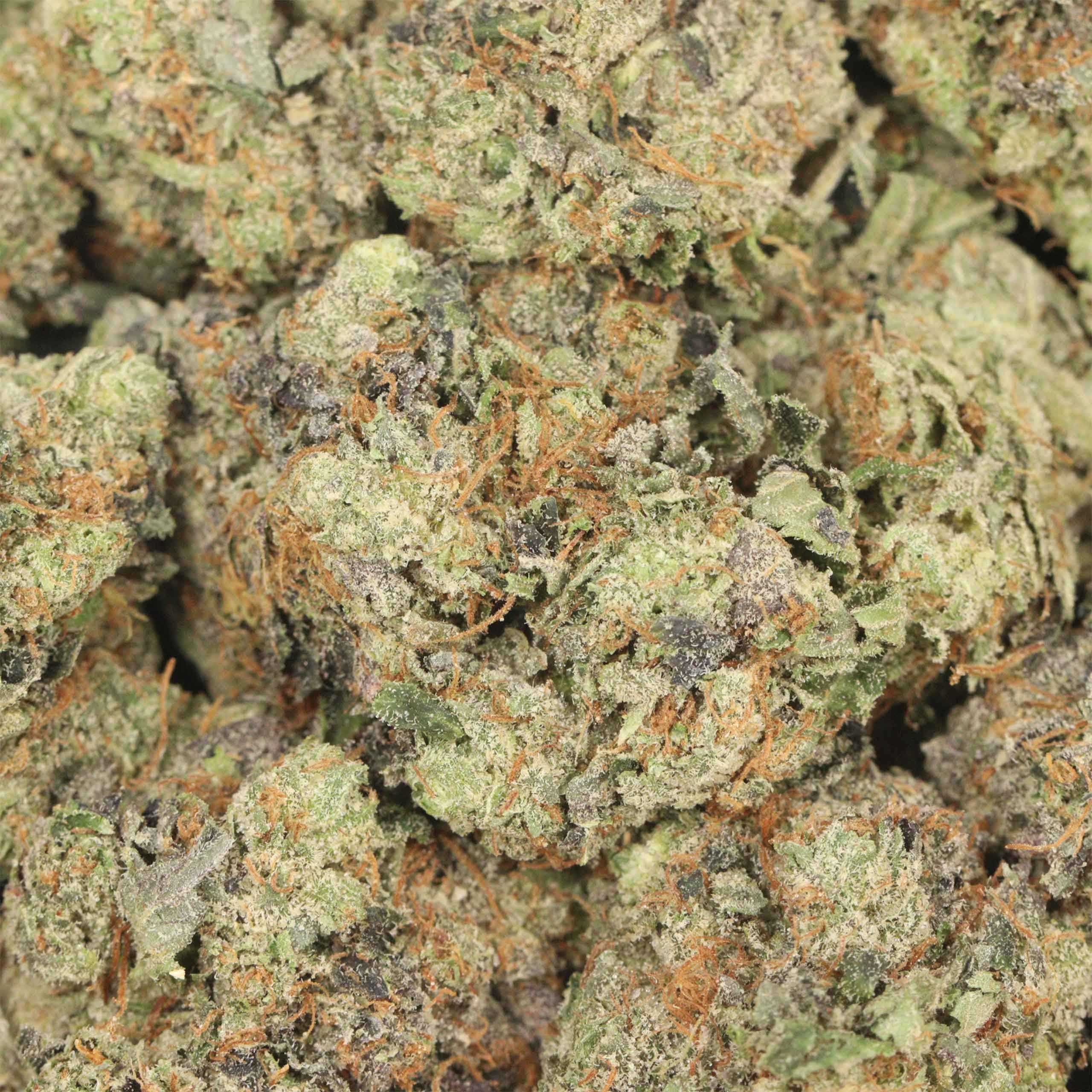 Blue Lemon - Image 3