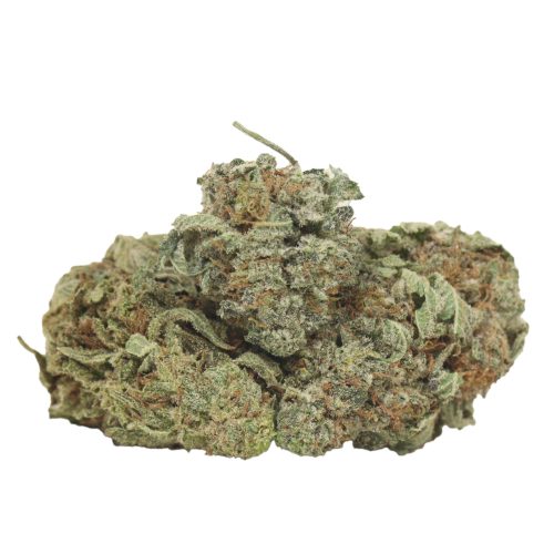 Blueberry Pie strain cannabis