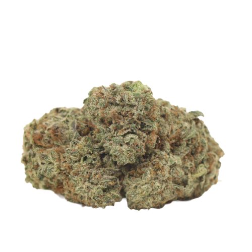 Blueberry Kush strain cannabis