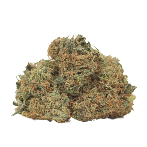 Blueberry Pancake strain cannabis