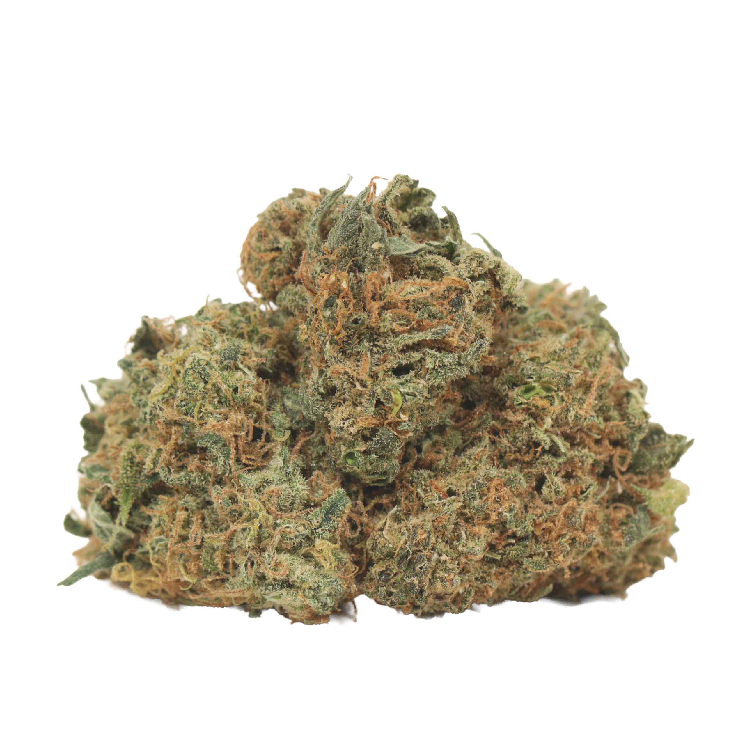 Blueberry Pancake strain cannabis