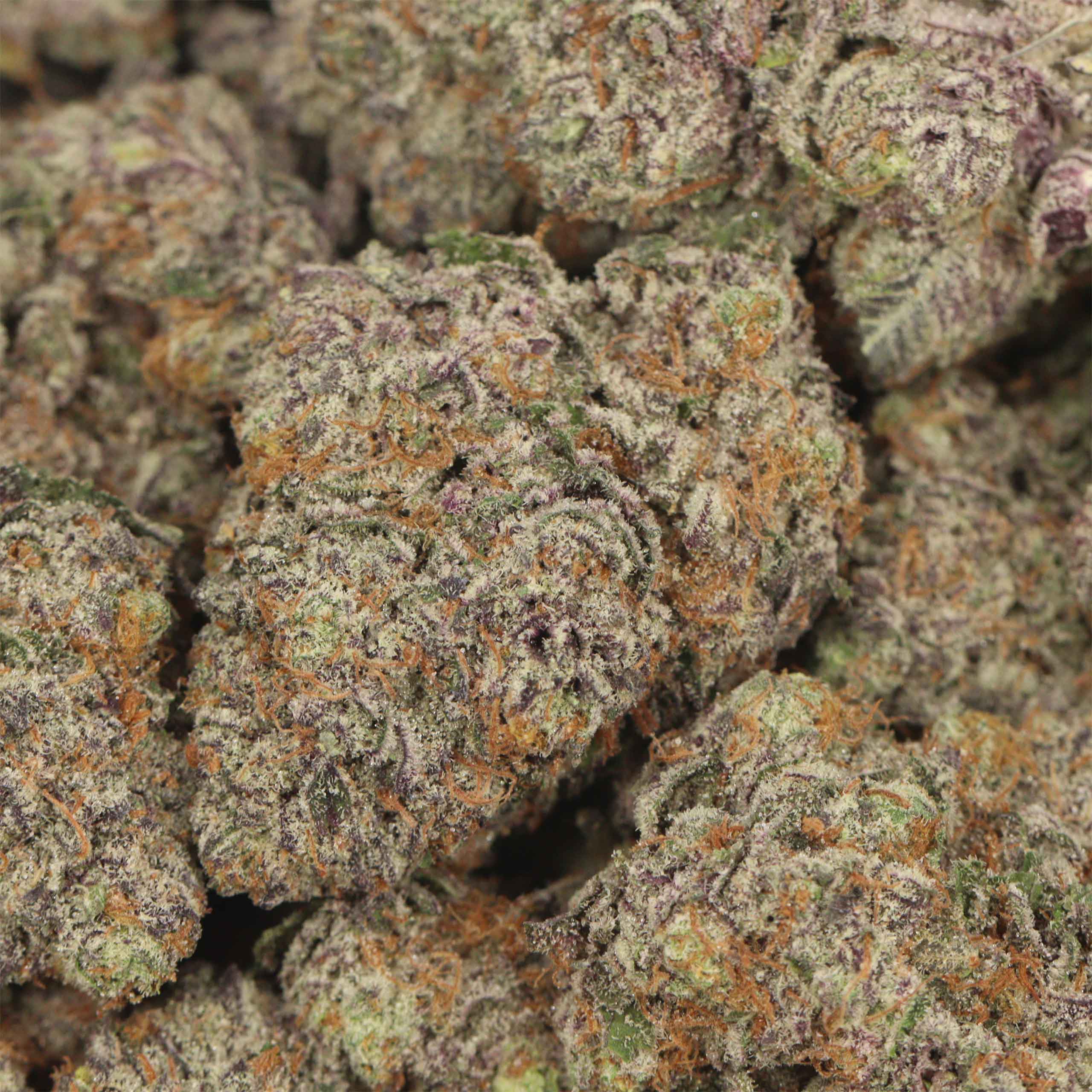 Bombsicle AAAA+ Indica Craft - Image 3