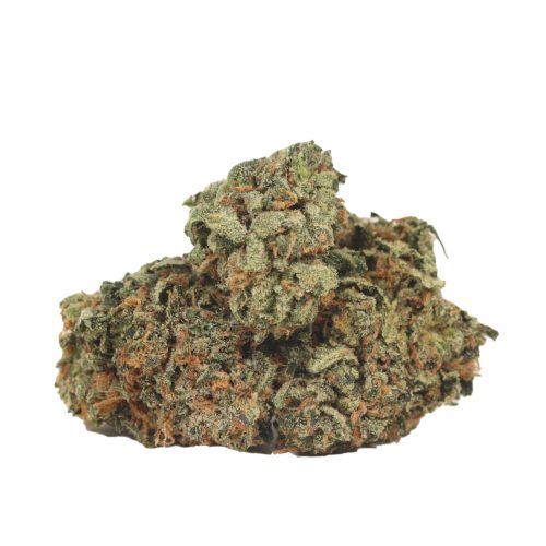 Cartel Kush strain cannabis