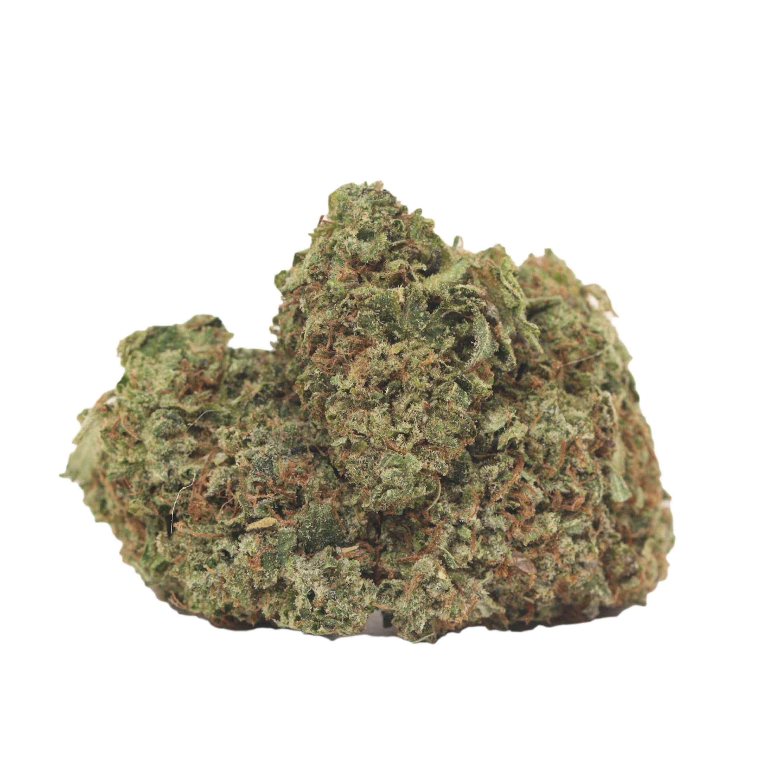 Caviar Pink Kush strain cannabis