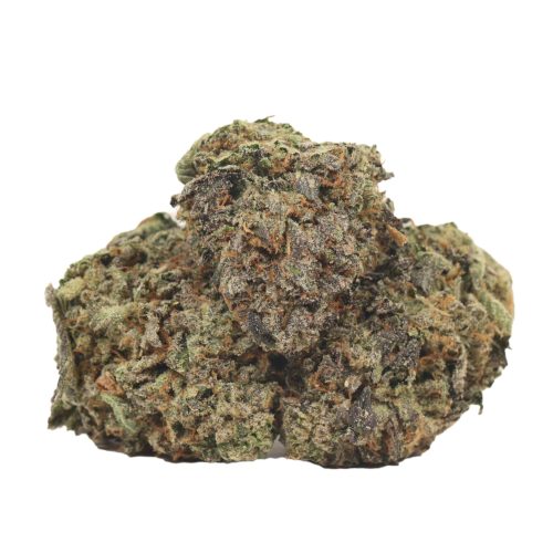 Caviar Pink Kush strain cannabis