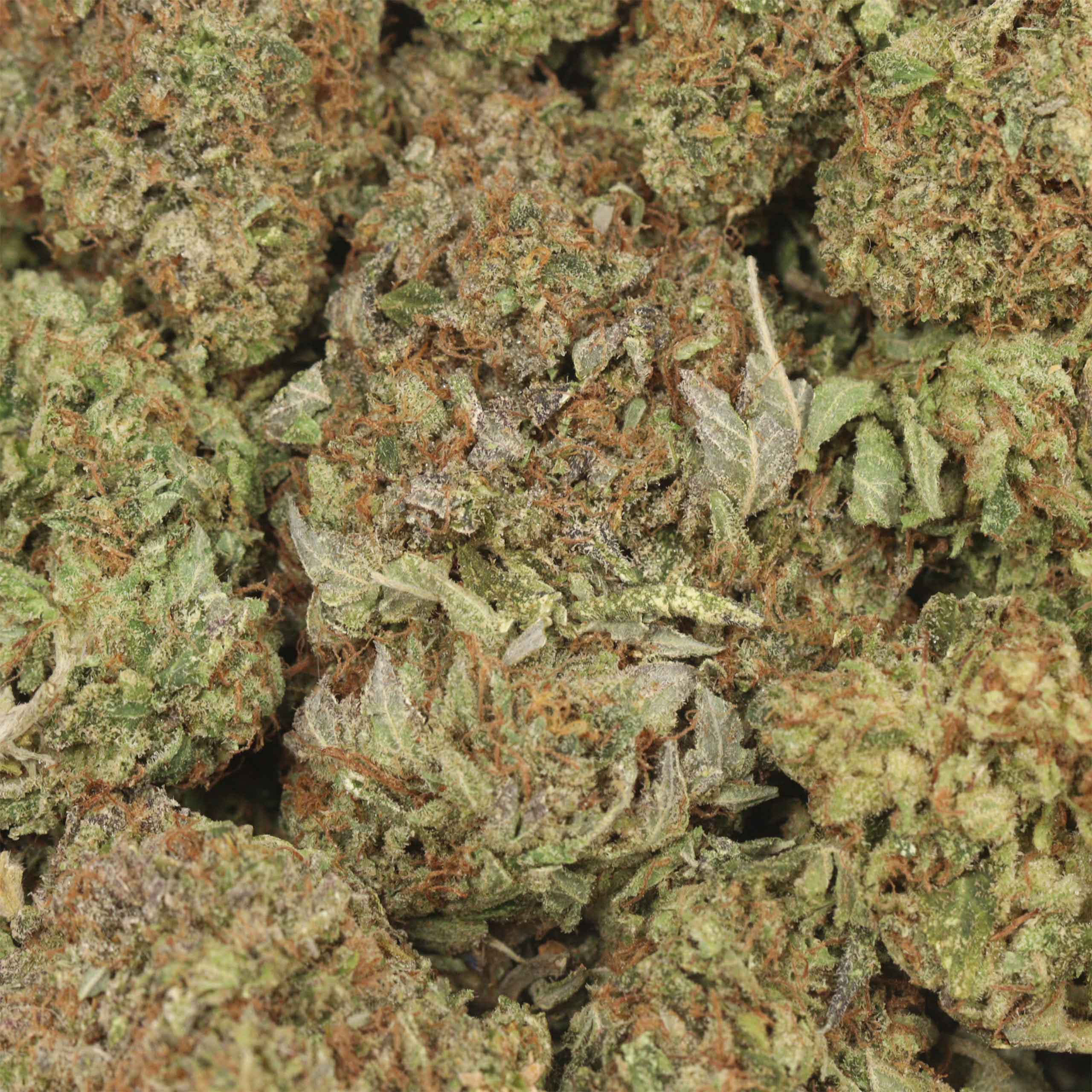 Caviar Pink Kush - Image 3