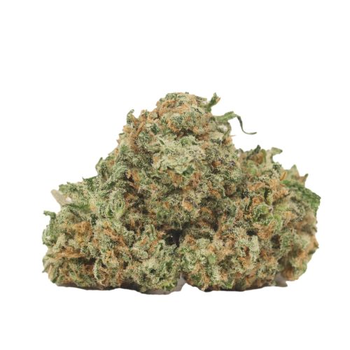Chemo Kush strain cannabis