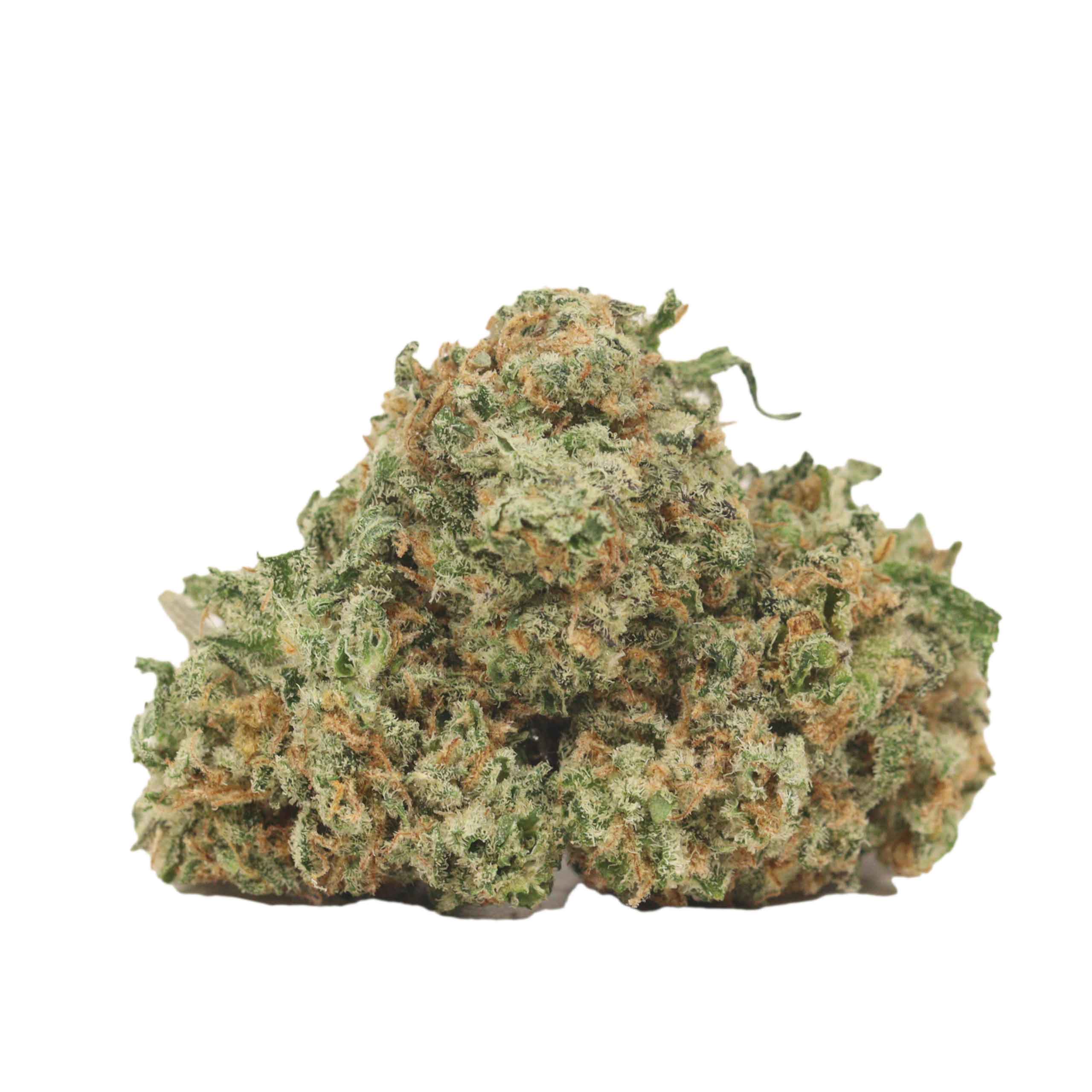 Chemo Kush strain cannabis
