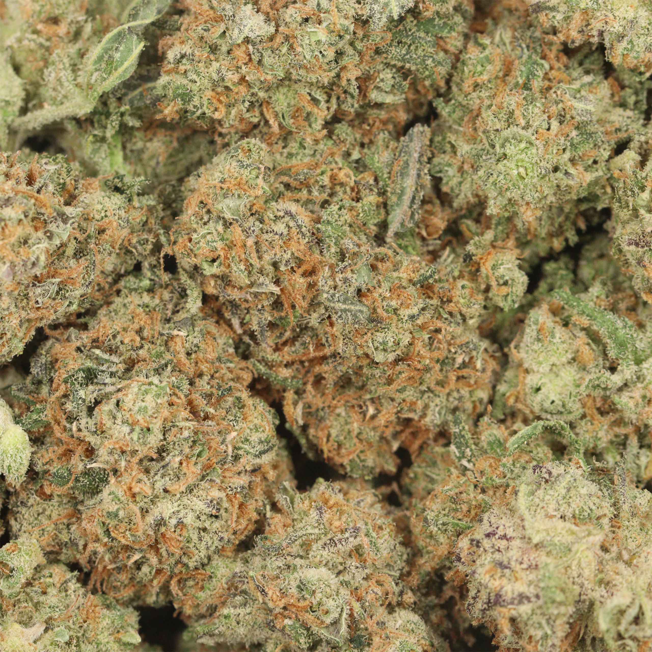 Chemo Kush - Image 3