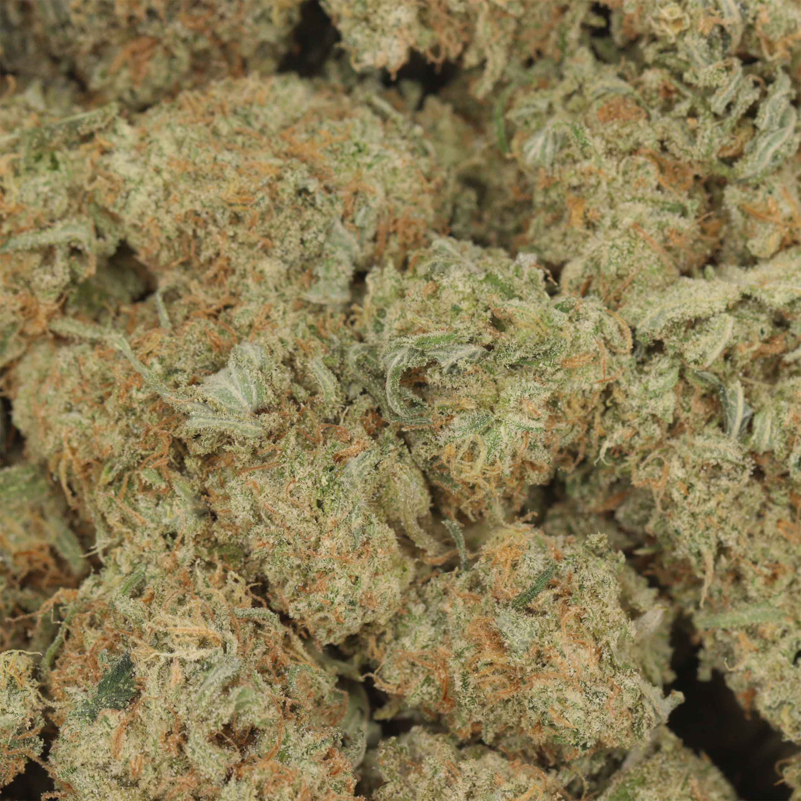 Cherry Diamond - Image 3