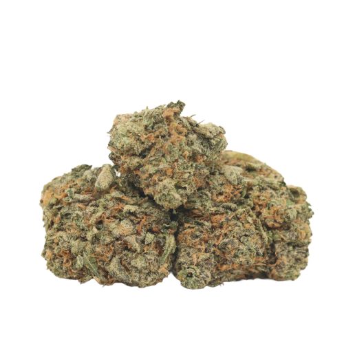 Cherry Dog strain cannabis