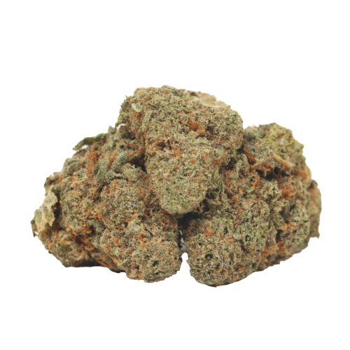 Cherry Kush strain cannabis