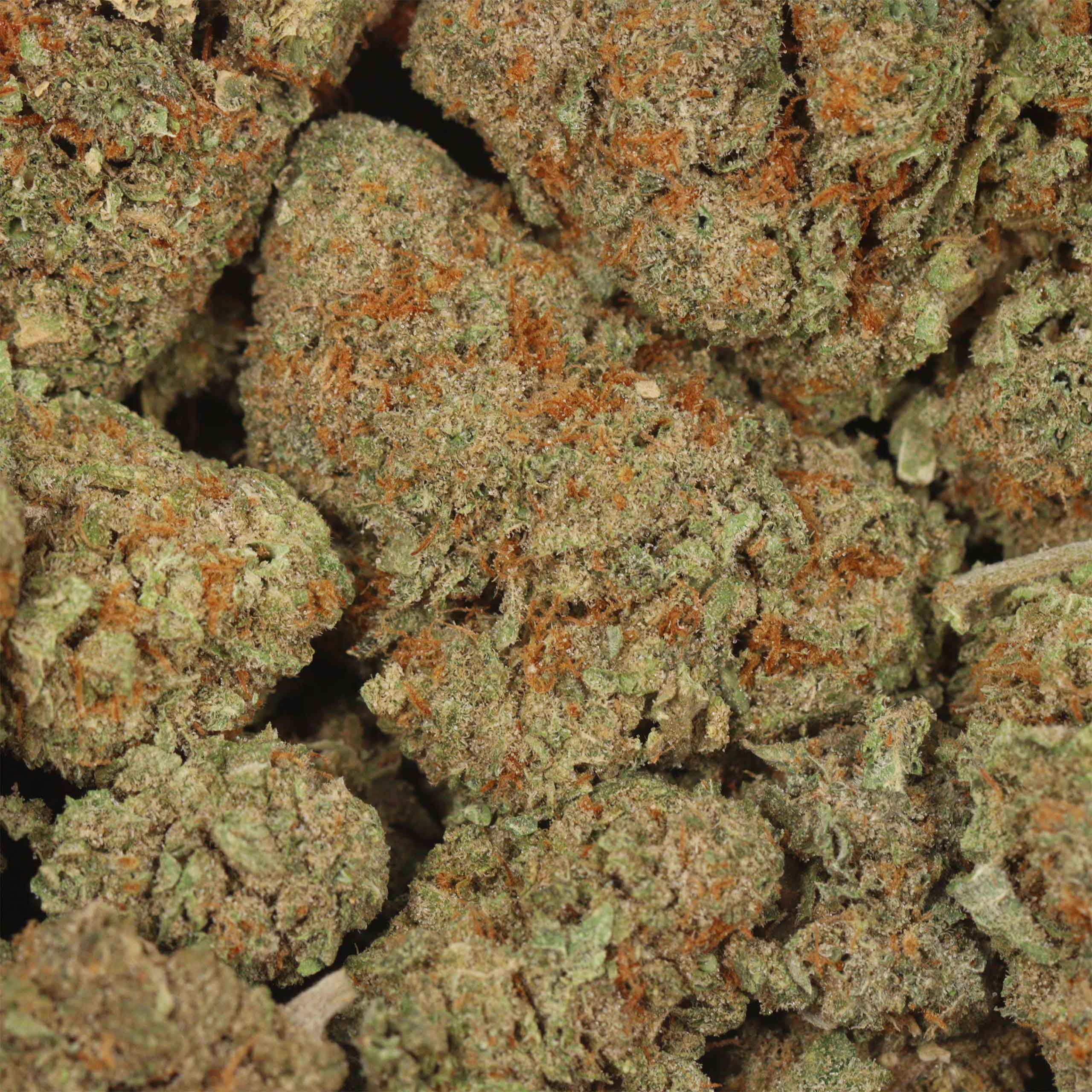 Cherry Kush - Image 3
