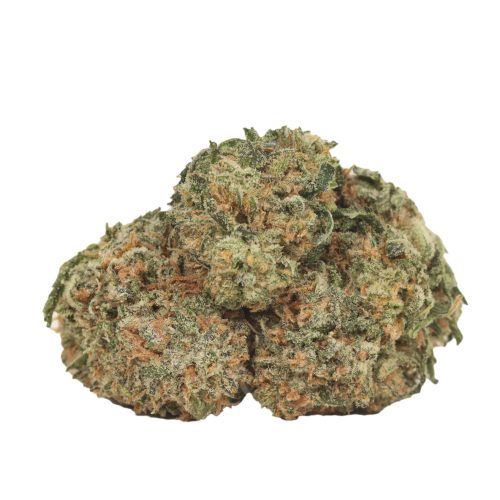 Chocolate Kush strain cannabis