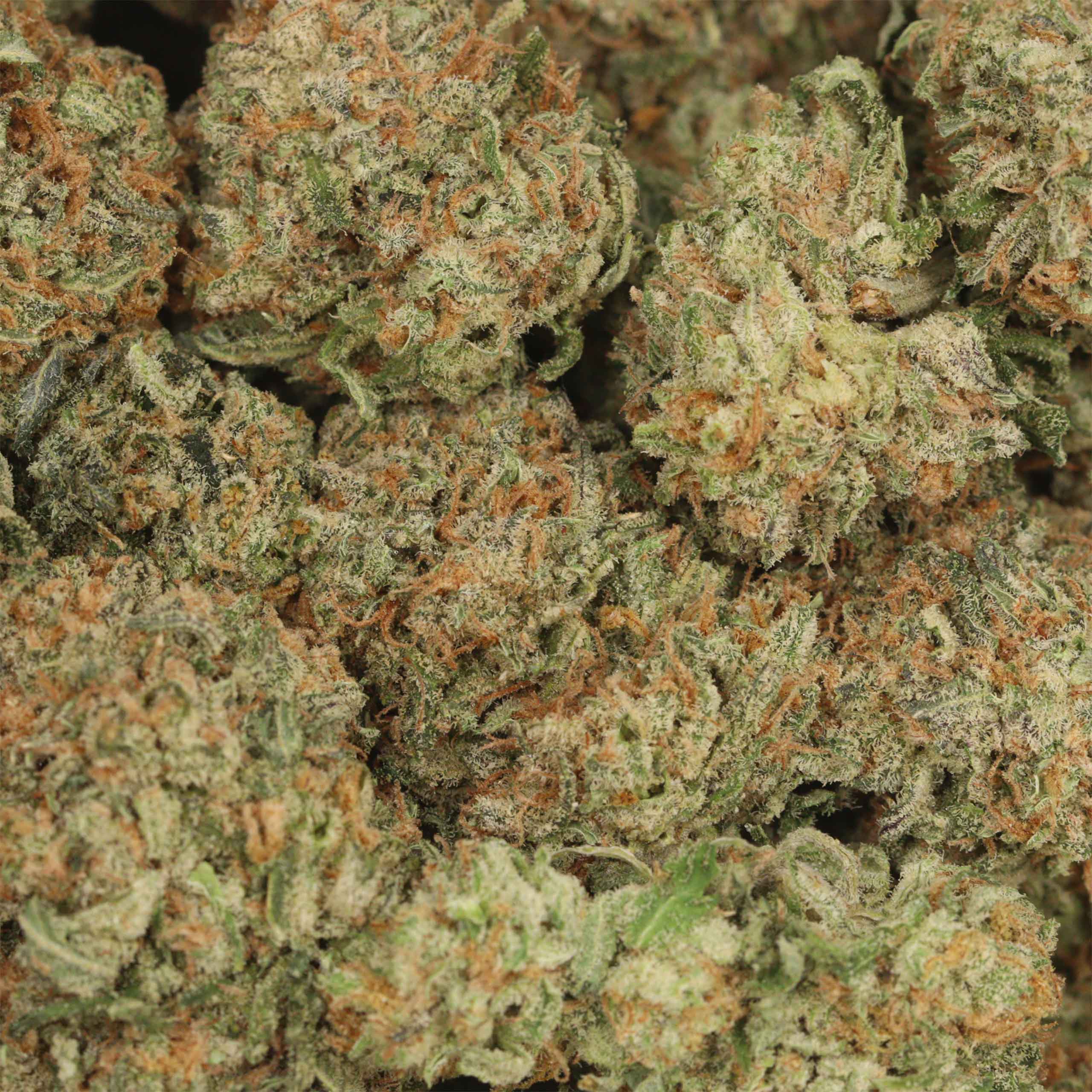 Chocolate Kush - Image 3