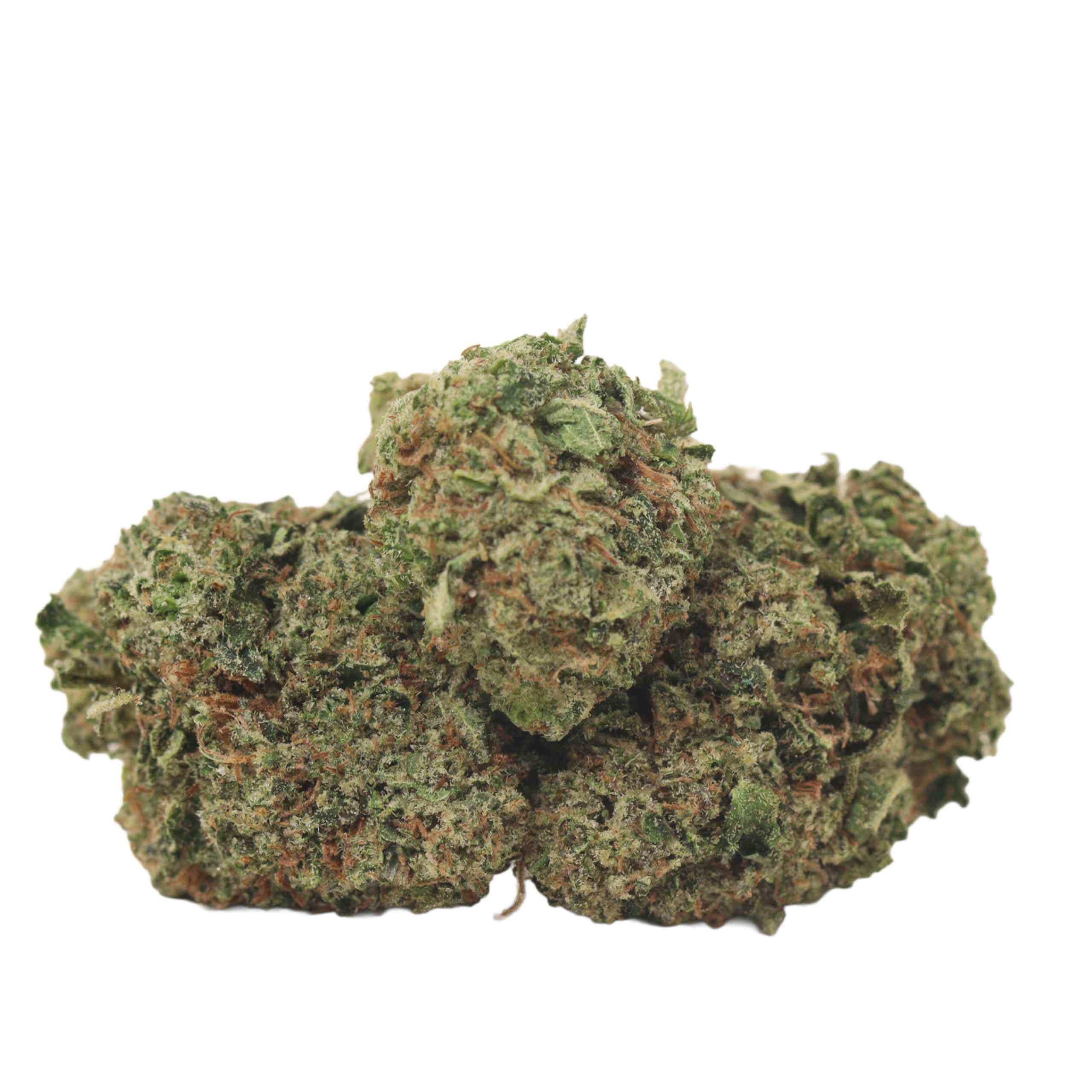 Comatose OG strain cannabis