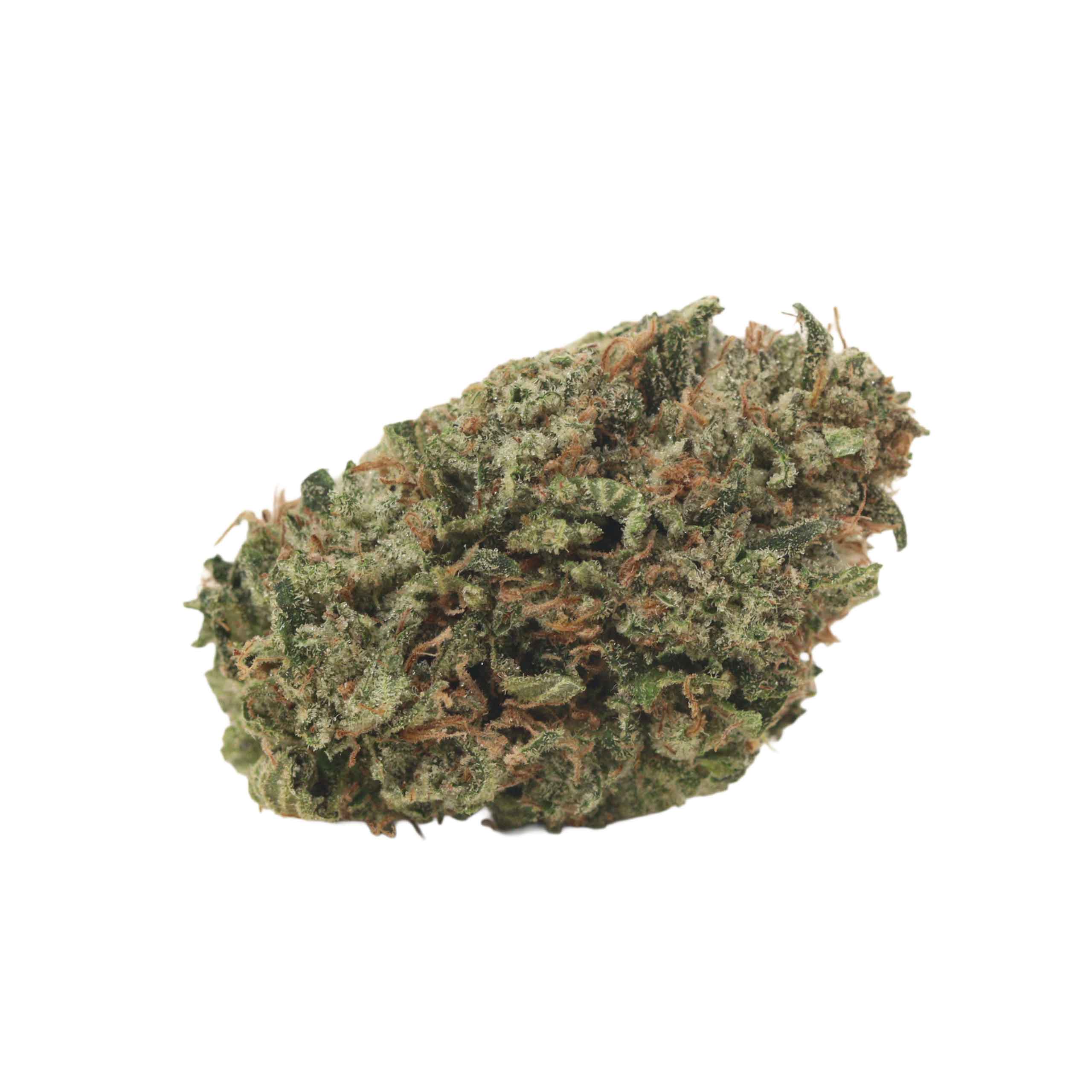 Comatose OG - Image 2