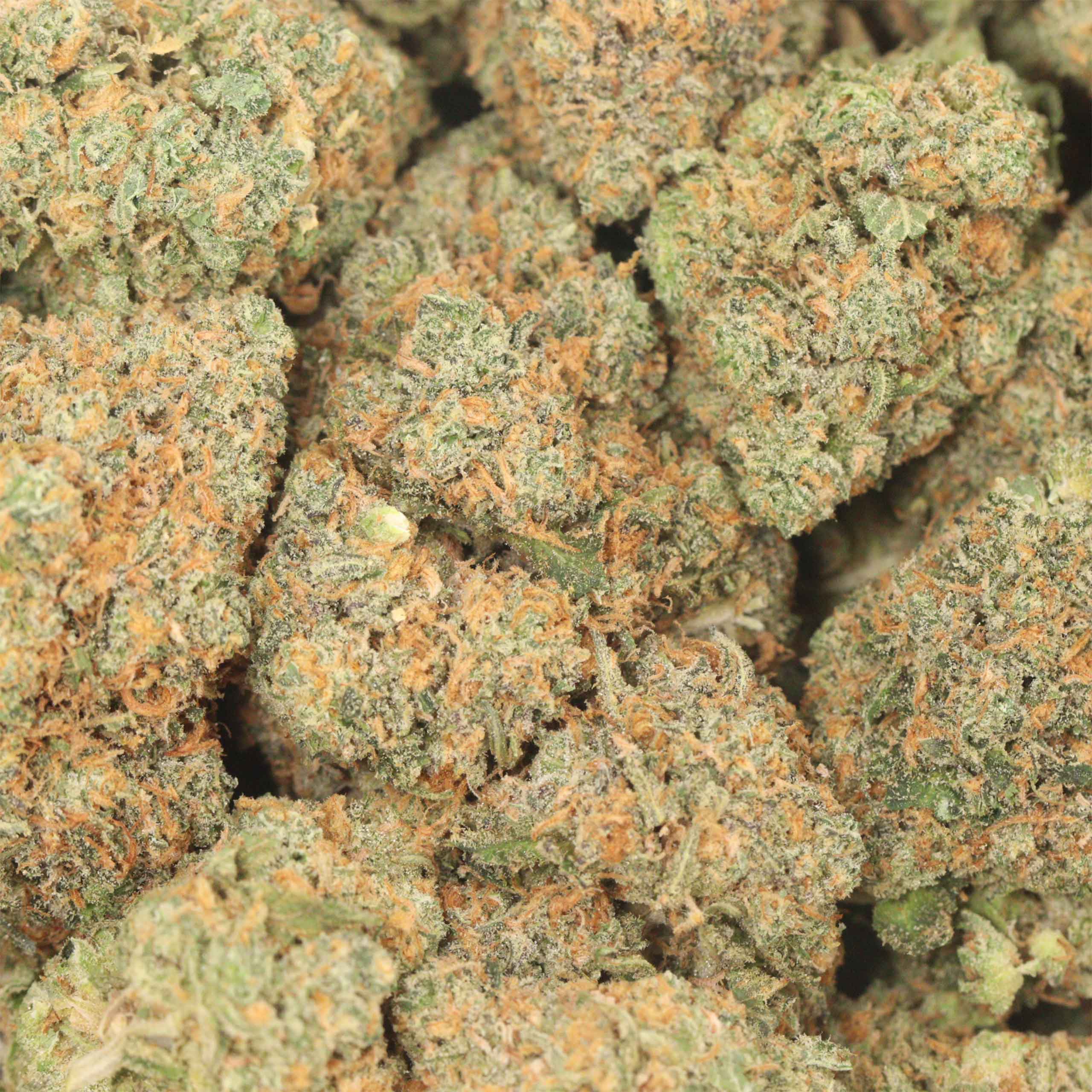 Diablo OG Kush - Image 3
