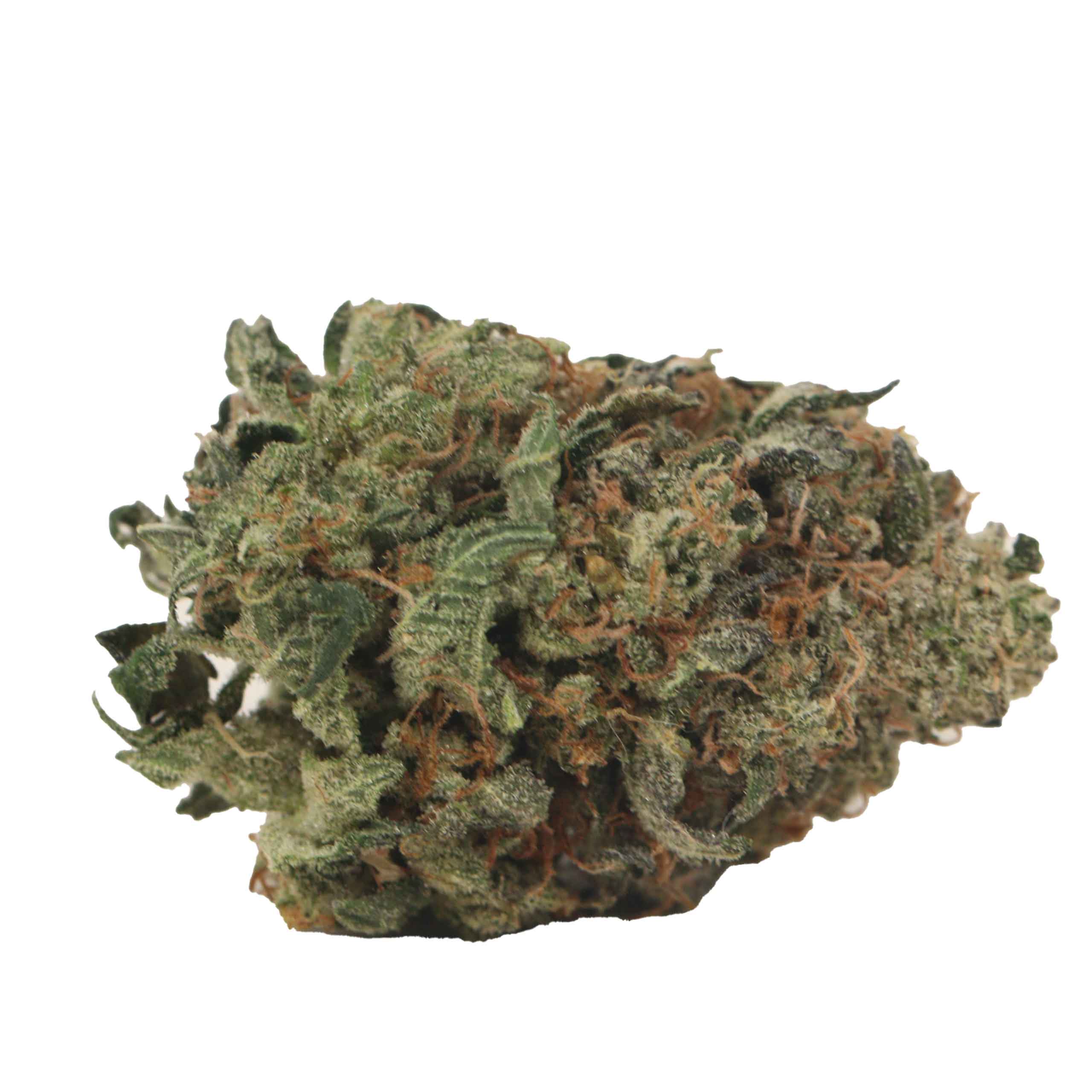 Dior Death Bubba - Image 2