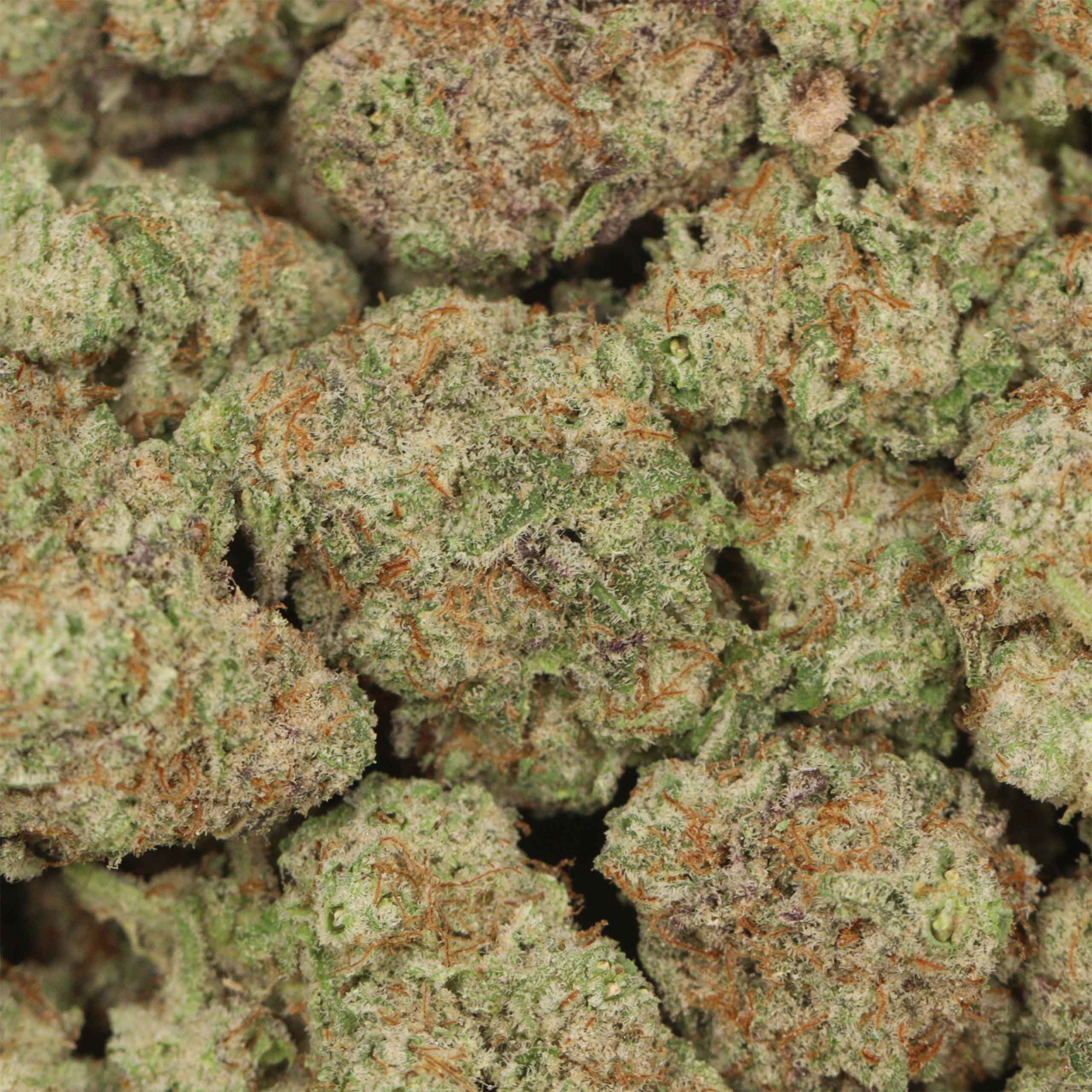 Dirty Mac - Image 3