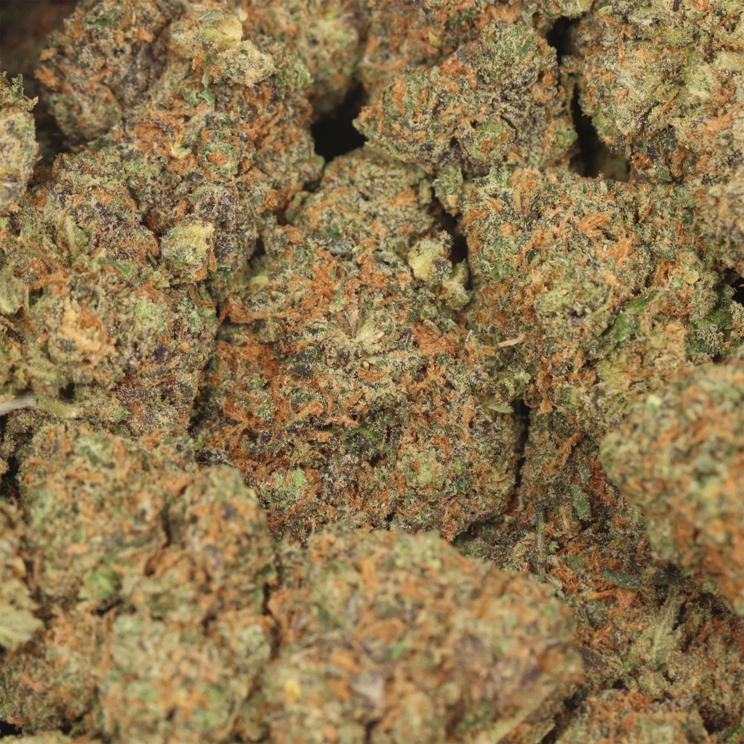 Dream Wedding cannabis