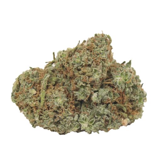 Durban Poison strain cannabis