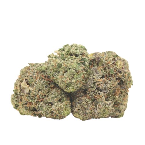 EL Jefe strain cannabis