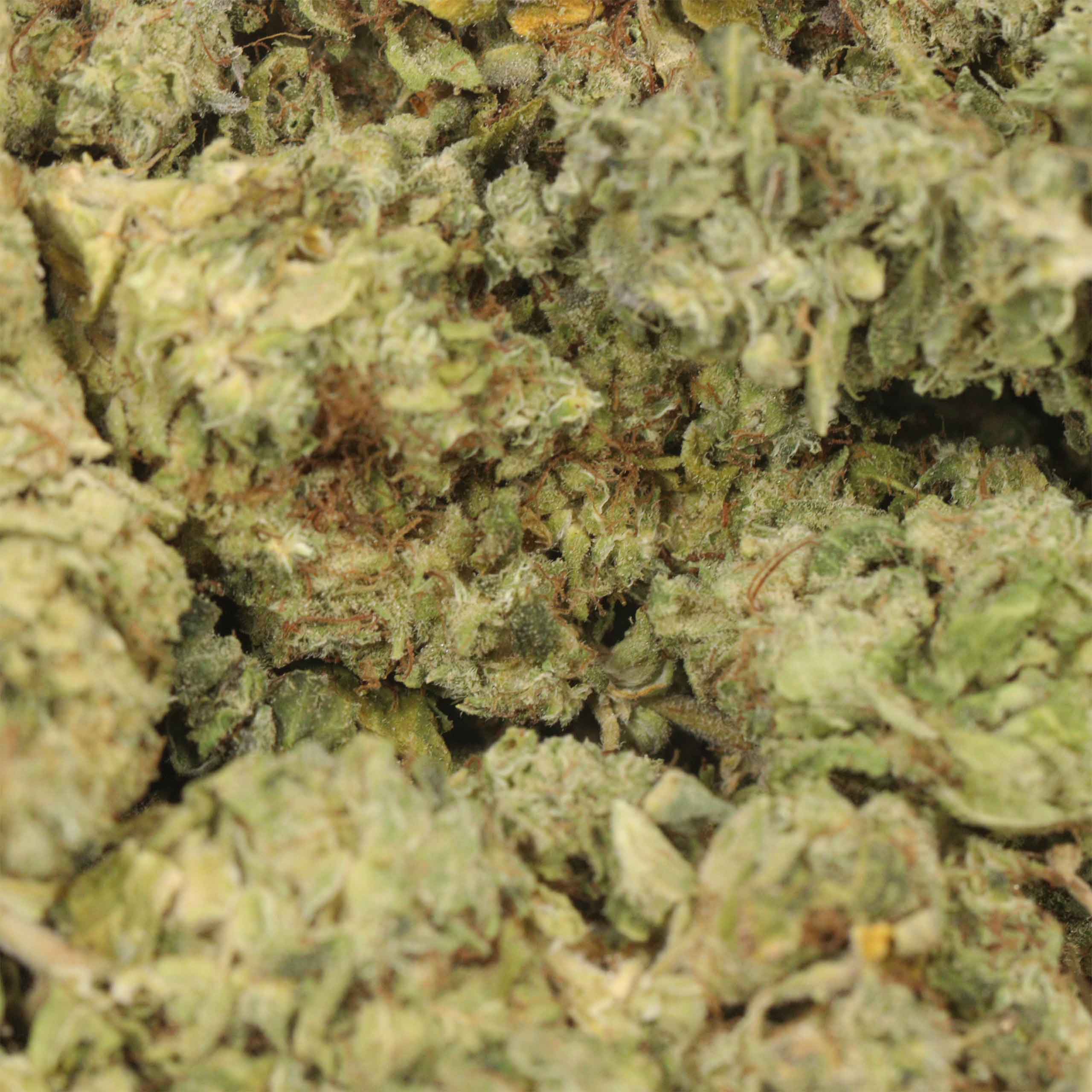 Fruit Loops - Image 3