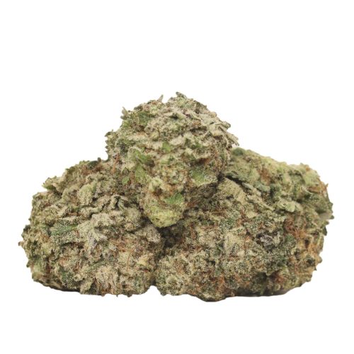 Glazed Donut strain cannabis
