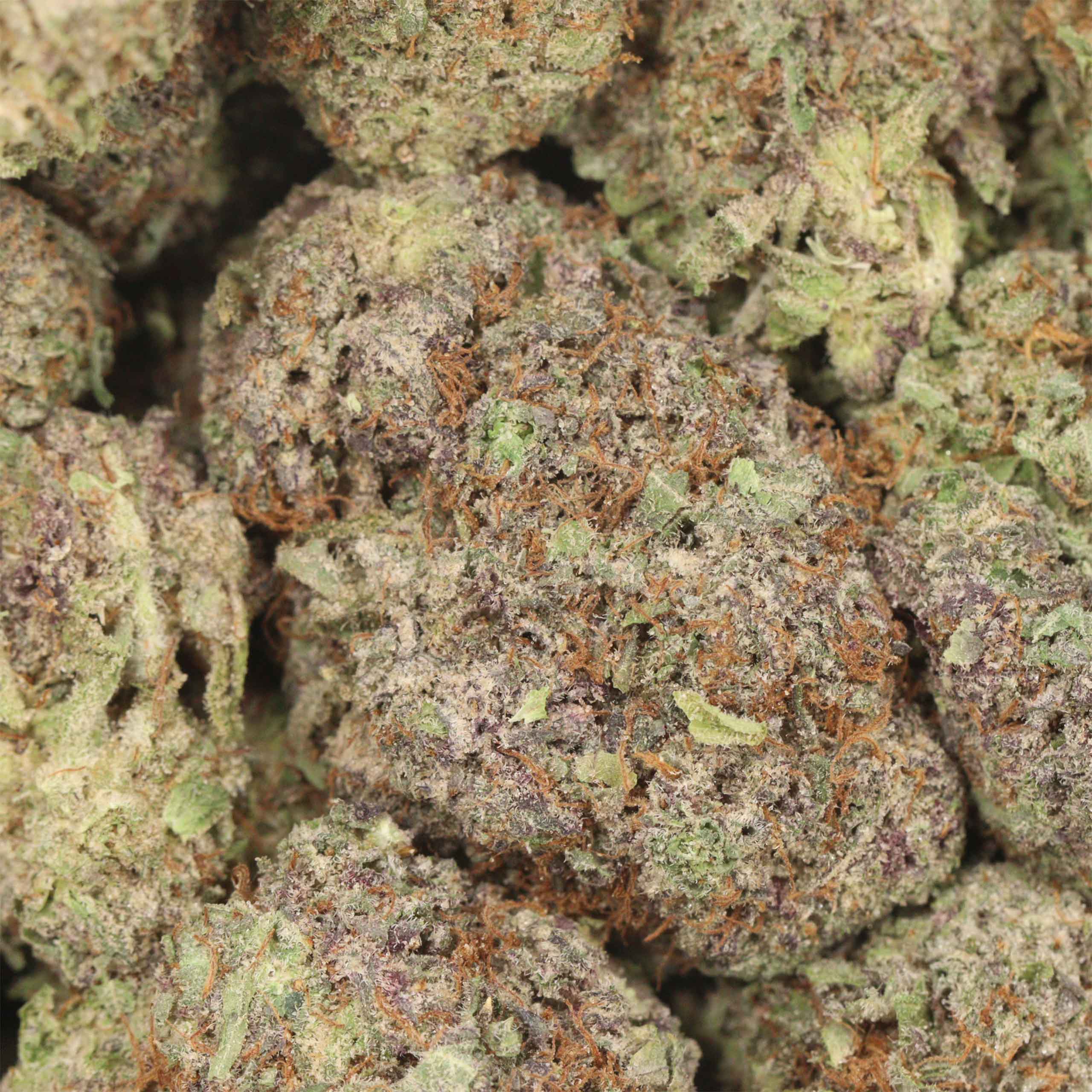 God's Green Crack - Image 3