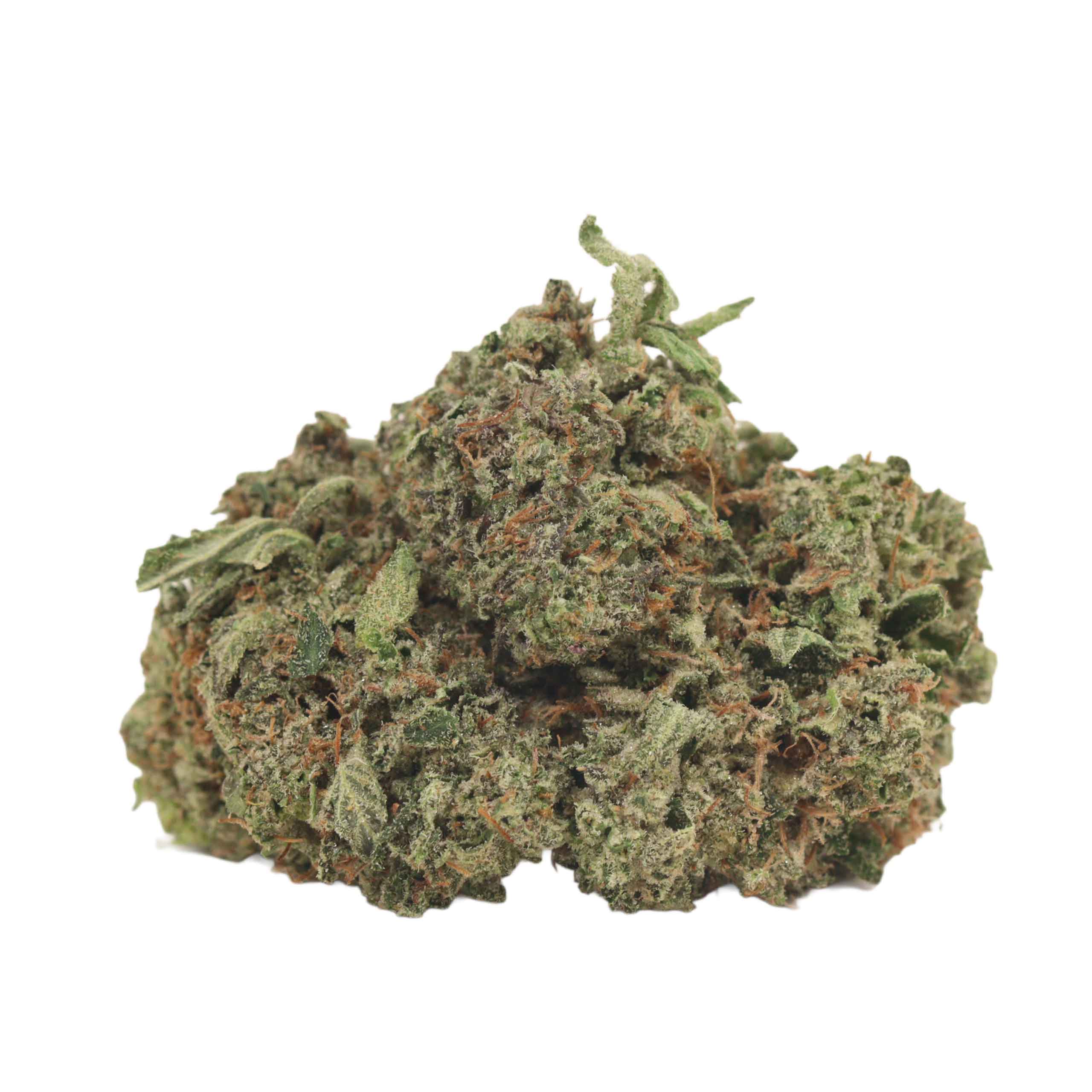 Golden Monkey strain cannabis