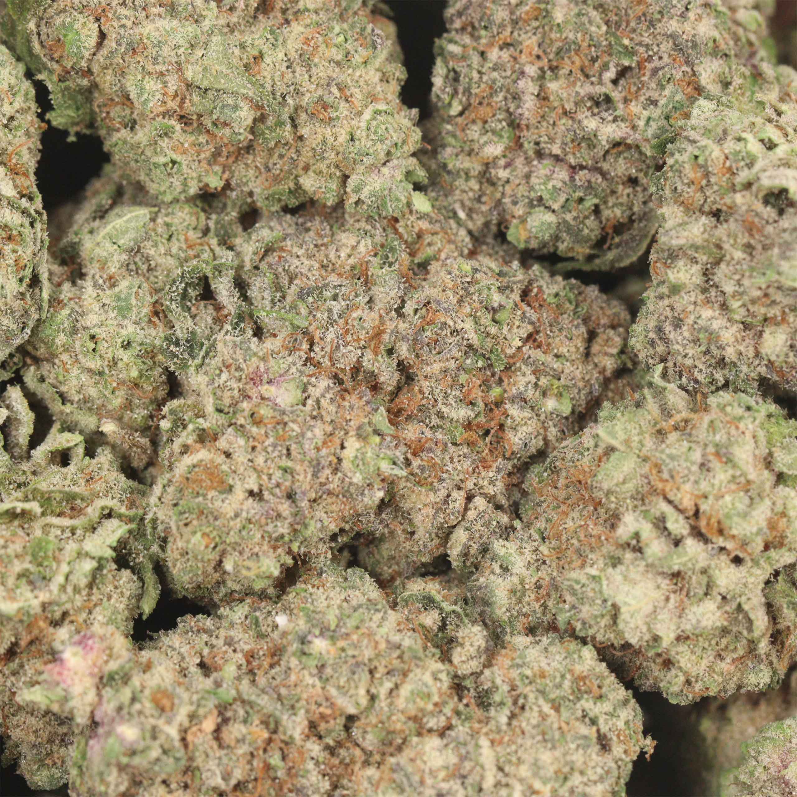 Grape Soda - Image 3