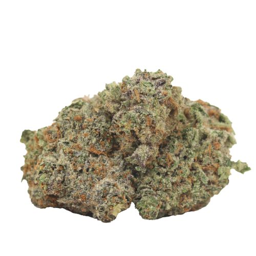 Great White Shark strain cannabis